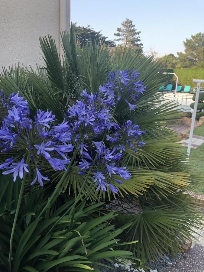 Villa Amare Granville Saint-Pair-sur-Mer Eksteriør billede